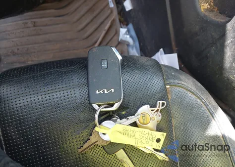 2022 Kia Telluride Ex from USA, damaged, VIN 5XYP3DHCXNG267675